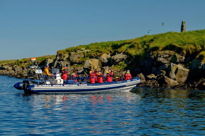 Premium Small-Group Puffin & Bird Watching tour from Reykjavík - Photography and bird-spotting tips that actually help