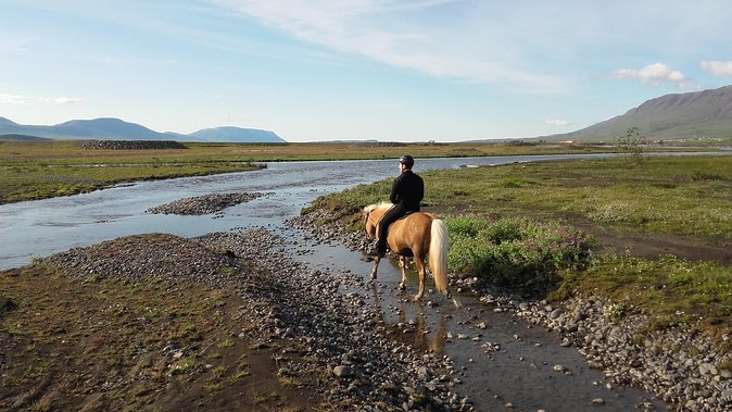 Private 3-Hour Horseback Riding Tour - Key highlights to know before you book