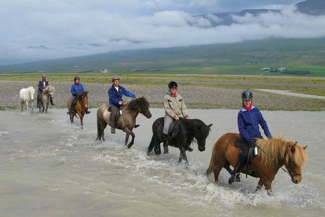 Private 3-Hour Horseback Riding Tour - Getting Oriented at Hestasport (Vegamót, Varmahlíð)