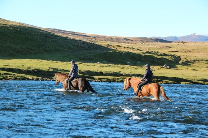 Private 3-Hour Horseback Riding Tour - How Guides Handle Real Life: Re-Routes and Personal Pace