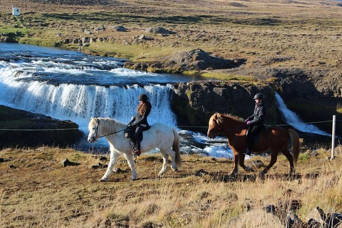 Private 3-Hour Horseback Riding Tour - Who This Private Horseback Tour Fits Best