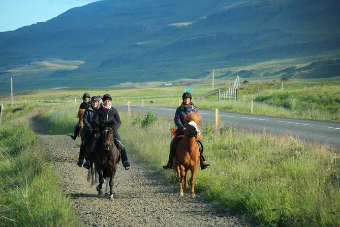 Private 3-Hour Horseback Riding Tour - Price and Value in Akureyri: What You’re Paying For