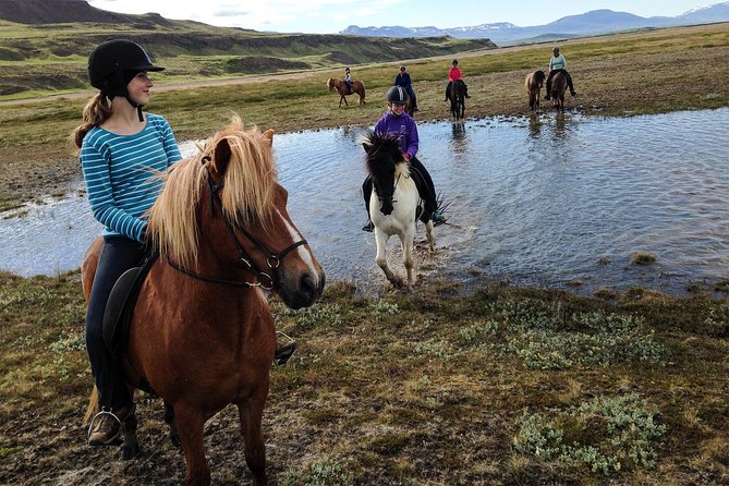 Private 3-Hour Horseback Riding Tour - Icelandic Horses and the Tölt Factor (What Actually Makes It Fun)