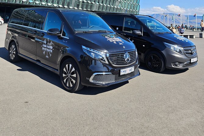 Private 6 Hour Airport or Cruise Tour with Transfer - A private 6 hour Reykjavik tour with transfer, built for your schedule