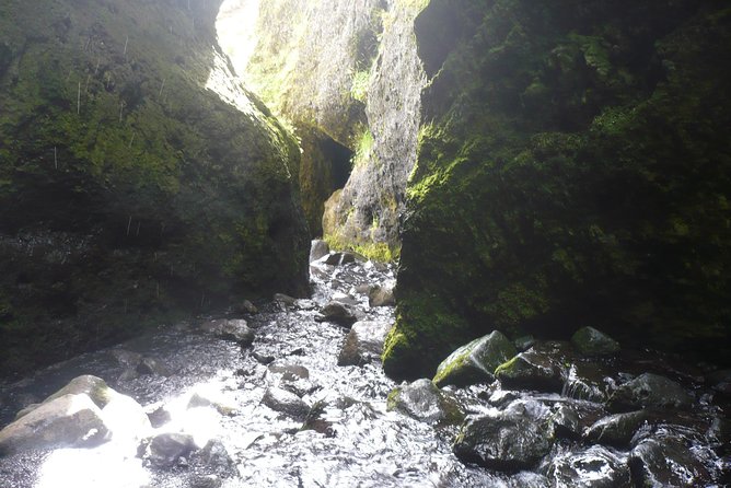 Private Day Tour from Höfn - The Eastfjords - Why your guide matters more than you think (Einar in heavy rain)