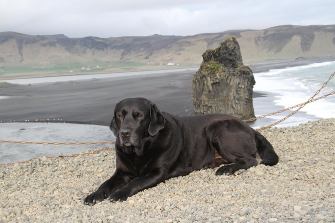 Private Day Trip to the Icelandic South Coast from Reykjavik - Private Ride Logistics That Actually Matter From Reykjavik