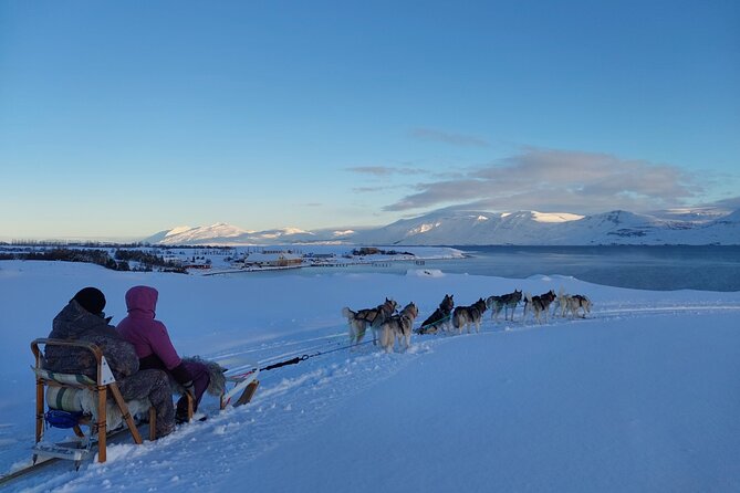 Private Dog Sledding in Akureyri - Key points to know before you go