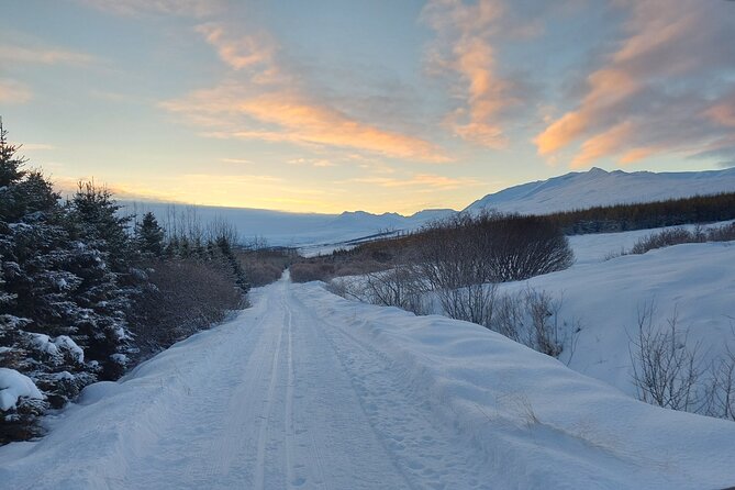 Private Dog Sledding in Akureyri - Who This Sledding Experience Fits Best