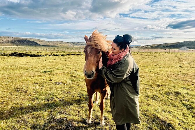 Private Farm Visit & Silver Circle Day Tour in West Iceland - Hvassafell II family farm: horses, sheep, and real countryside time