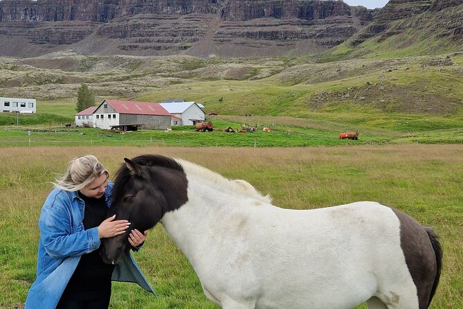 Private Farm Visit & Silver Circle Day Tour in West Iceland - Weather matters more than you think