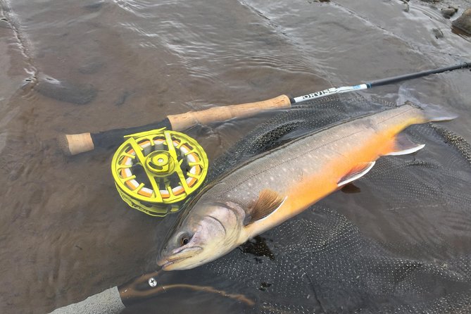 Private Fishing Tour from Reykjavik - Arctic Char and Brown Trout - Fly fishing and spin casting: two real ways to succeed