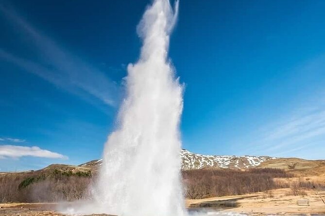 Private golden Circle 1 to 4 person - Price and Value for a Group of Up to 4