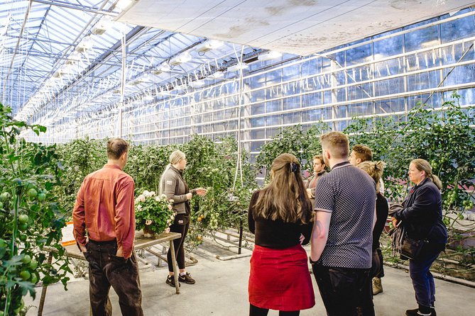 Private Golden Circle, Sky Lagoon and Friðheimar Greenhouse Lunch - Who should book this tour, and who might want a different option