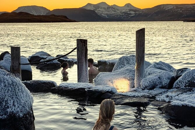 Private Golden Circle Tour (1-7pax) - Reykjavik pickup, signed cars, and a smooth start
