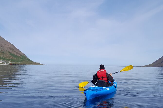 Private: Guided kayak tour in Siglufjörður / Siglufjordur. - Key highlights you’ll care about