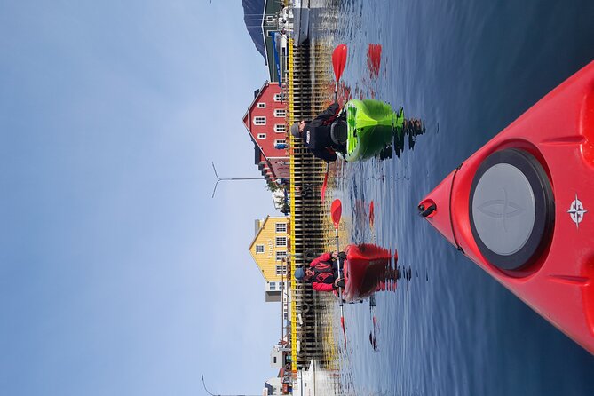 Private: Guided kayak tour in Siglufjörður / Siglufjordur. - Back at Sigló Sea HQ: debrief, next ideas, and what to expect after