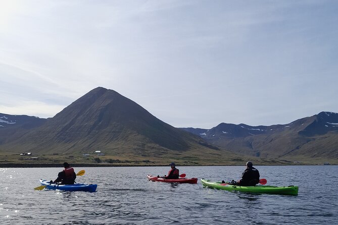 Private: Guided kayak tour in Siglufjörður / Siglufjordur. - Price and value: $508.04 per group, up to 6, for 2.5 hours