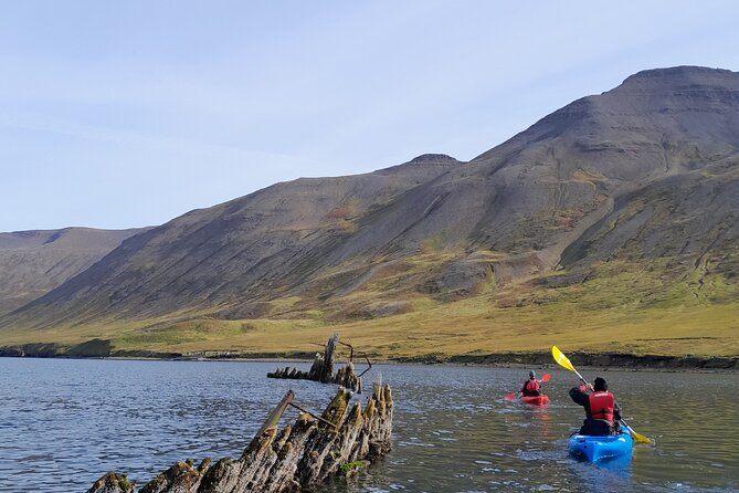 Private: Guided kayak tour in Siglufjörður / Siglufjordur. - The Sigló fjord paddle: from harbor paddling to landmark time