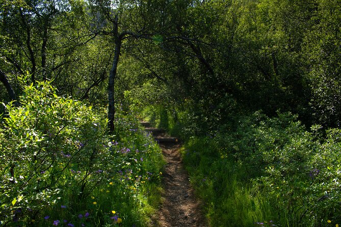 Private Hiking Tour in the Valley of Thórsmörk - Price and value: $1,775 per group, up to 4