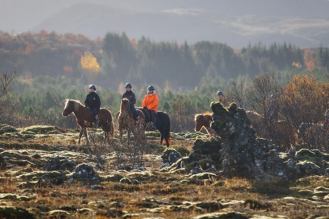 Private Icelandic Horseback Ride: Matched to Skill Level - Key highlights you’ll care about