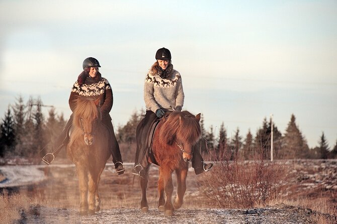 Private Icelandic Horseback Ride: Matched to Skill Level - Meeting at Sörlaskeið 26, and what to expect before you ride