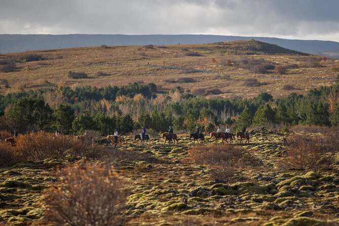 Private Icelandic Horseback Ride: Matched to Skill Level - Scenery near the city: lava fields without the all-day commitment