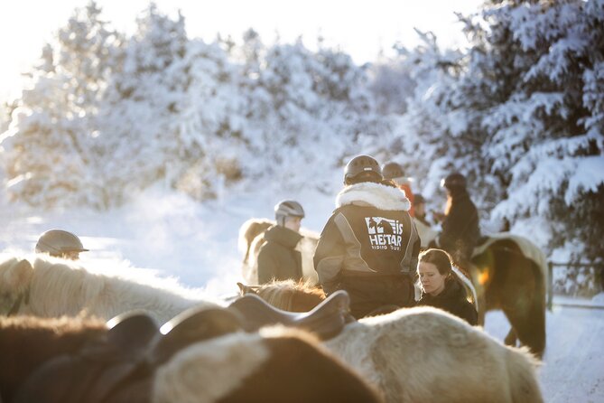 Private Icelandic Horseback Ride: Matched to Skill Level - Warm drinks, equipment, and the small comforts that help