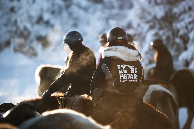 Private Icelandic Horseback Ride: Matched to Skill Level - Language and guide style: you’ll want to use them
