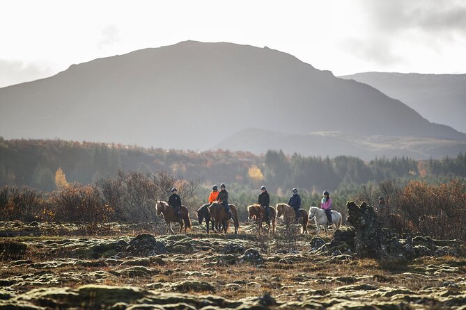 Private Icelandic Horseback Ride: Matched to Skill Level - The 50 minutes of riding: how guides match your comfort level