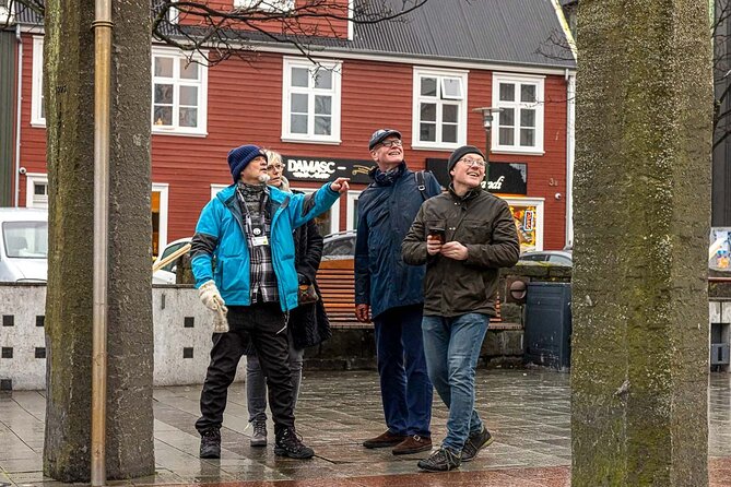 Private Icelandic Viking Age Walking Tour - Where you start, where you end, and how hotel pickup works