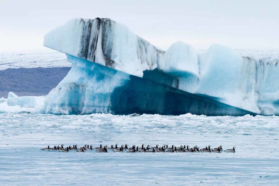 Private Jökulsárlón Glacier Lagoon Tour - Key things to love about this private Jökulsárlón Glacier Lagoon tour