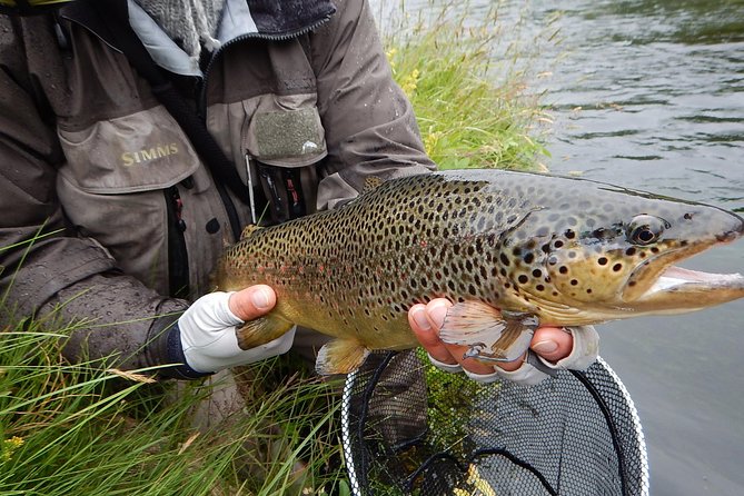 Private Lake and River Fishing Tour from Reykjavik - Learning with real instructors, including fly-fishing coaching