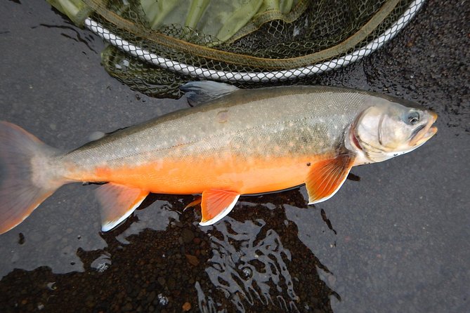 Private Lake and River Fishing Tour from Reykjavik - What’s included: gear, permits, guide, and transport