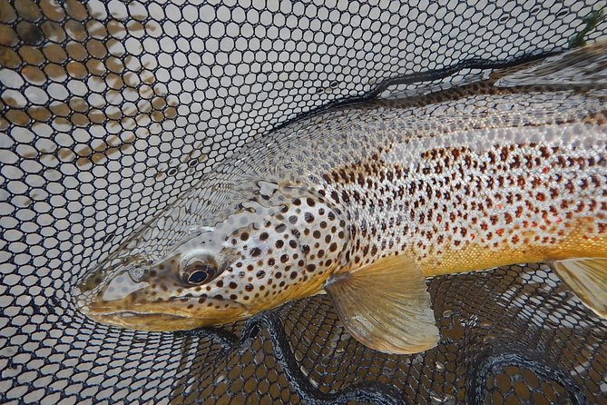 Private Lake and River Fishing Tour from Reykjavik - Weather reality: plan for all conditions