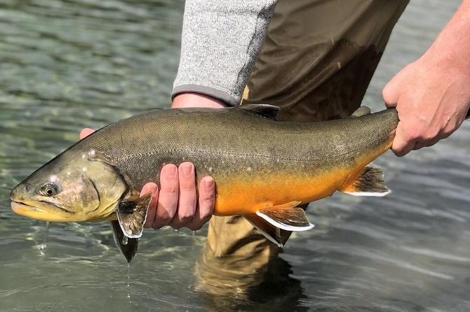 Private Lake and River Fishing Tour from Reykjavik - The Golden Circle river session: what you’re actually paying for