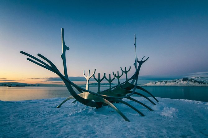 Private Luxury City Tour Reykjavik - Key highlights worth planning around