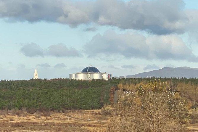 Private Luxury City Tour Reykjavik - Reliability and Service Style: On-Time, Flexible, and Truly Local