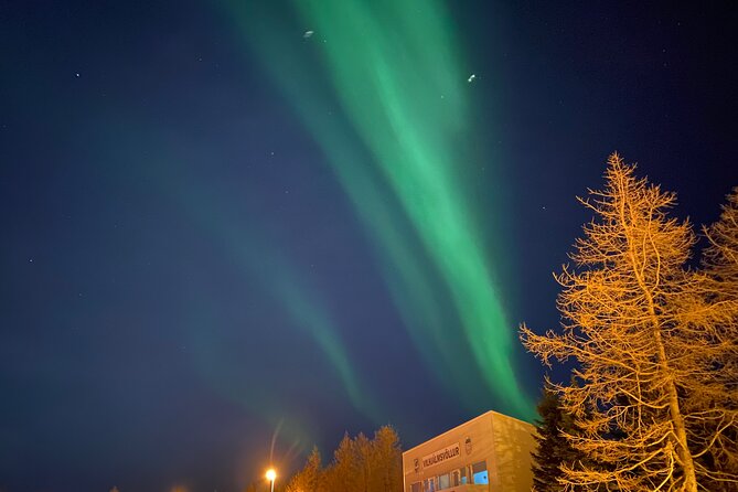 Private Northern Lights Tours - Heidmork Nature Reserve: the low-light move