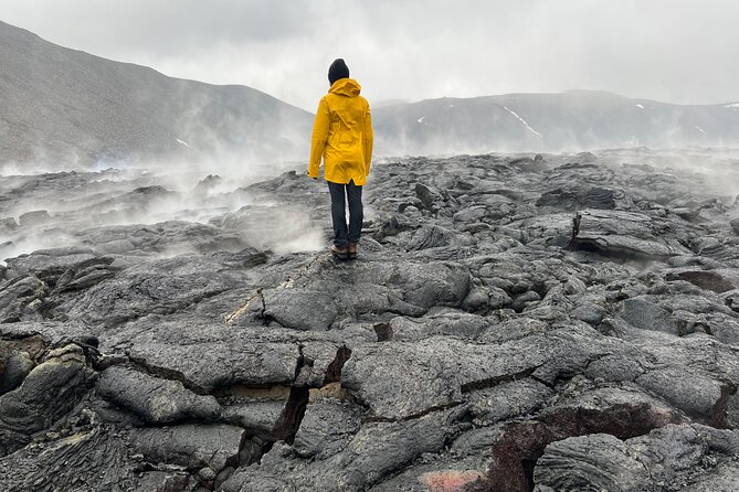 Private Reykjanes Peninsula Guided Tour - The tectonic fissure: seeing Eurasia and North America split