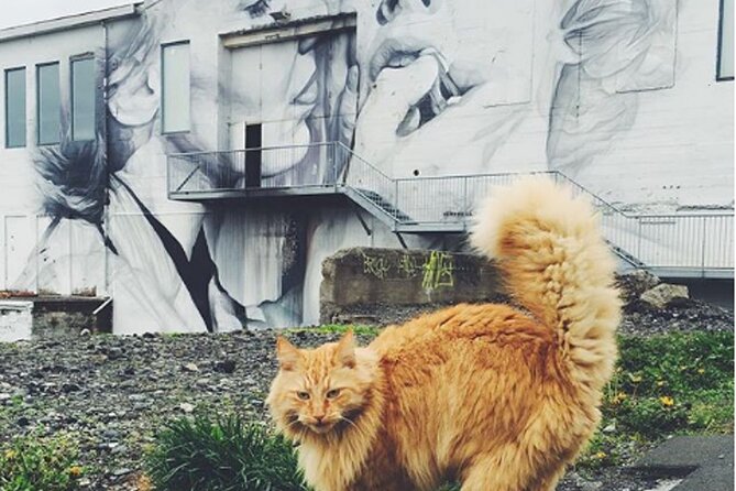Private Reykjavik Cat Walking Tour - Kattakaffihúsið: Coffee, Pastry, and the 40-Minute Cat Cafe Moment