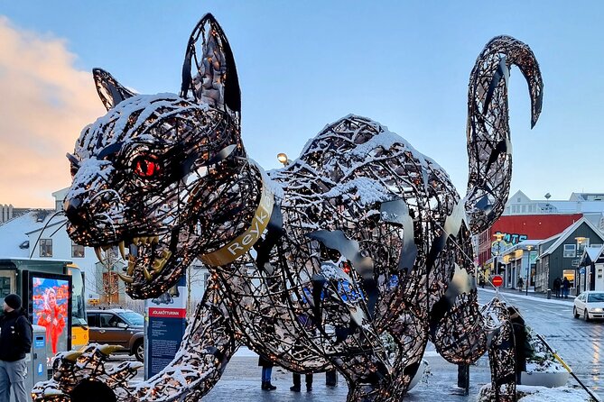 Private Reykjavik Cat Walking Tour - The Heart of Reykjavik Store and Its Cat Designs