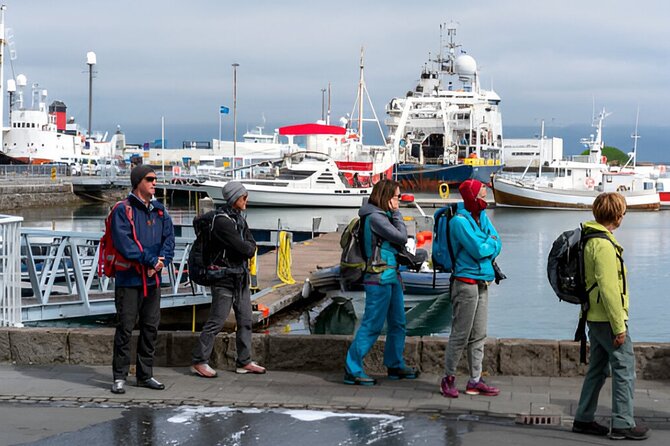 Private Reykjavik City Tour in Multi-Language Guide Options - Old Harbour: where the fishing past meets today’s walking life