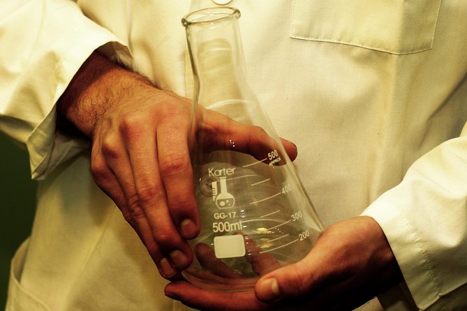 Private Reykjavik Escape Game Experience: The Scientist 1 - Key highlights you should know