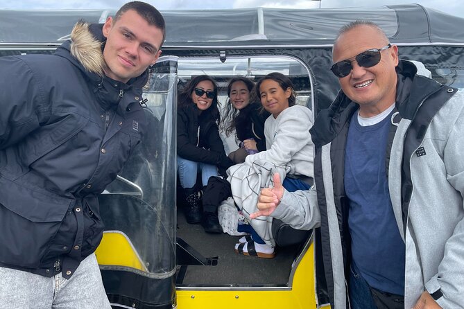 Private Reykjavík Tuk Tuk – City Highlights Tour - Price and value: $255 per group, up to 4, for a private city intro
