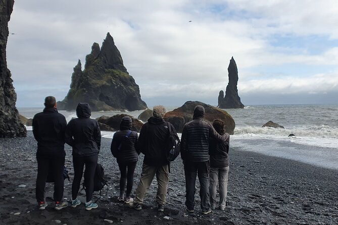 Private South Coast Tour in Multi-Language Guide Options - Dyrhólaey: Puffins in Summer and Ocean Views That Take Work to Beat
