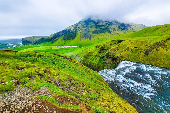 Private South Coast Tour with Katla Ice Cave - The Lupine Stop: When a Former Black Sand Area Turns Color