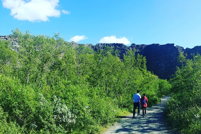 Private Tour in Northern Iceland from Akureyri - Lake Myvatn: the 45-minute stop that gives the place meaning