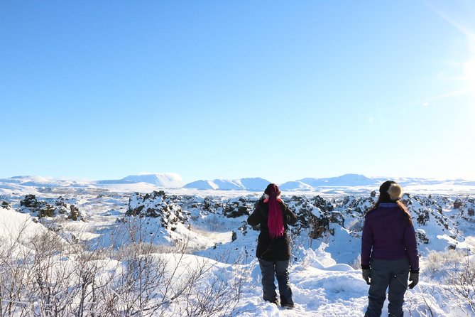 Private Tour in Northern Iceland from Akureyri - Price and group value: when this really makes sense