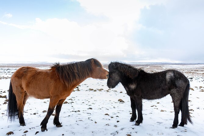 Private Tour Of The Golden Circle With Farm Visits In Iceland - Geysir And Strókkur: Timing Eruptions Without Guesswork