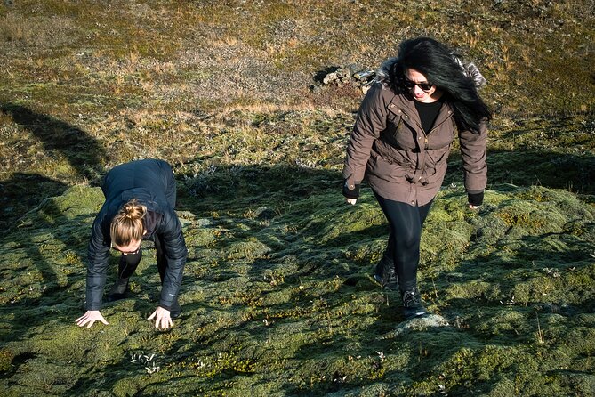 Private Tour of Valley of Tears and Highlands adventure - What it’s like on the ground: timing, comfort, and sound